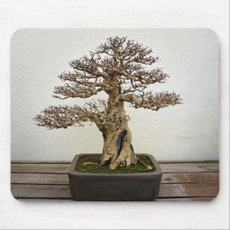Granatapfel-Bonsais-Baum Mousepad