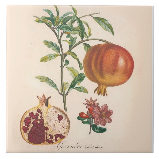 Granatapfel-dekorativer Fliese (Vorderseite)