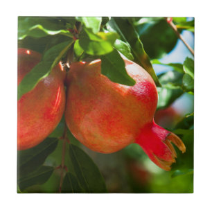 Granatapfel Fliese