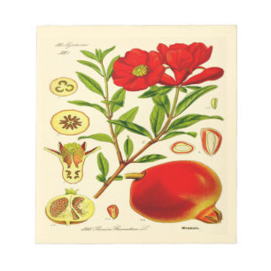 Granatapfel Notizblock