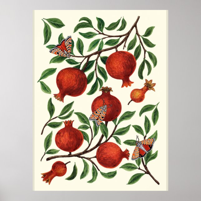 Granatäpfel und Bella Moths auf weißem Boden Poster (Vorne)