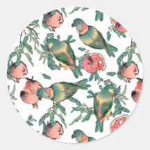 Granatapfel und Lovebirts