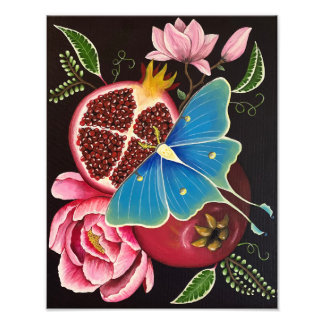Granatapfel und Luna Moth Fine Art Print Fotodruck