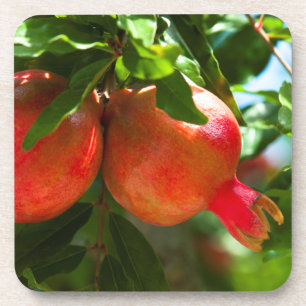 Granatapfel Untersetzer