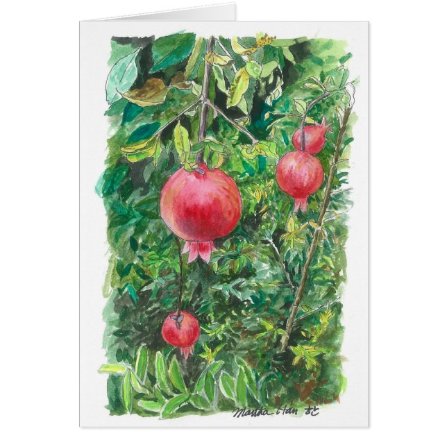 Granatapfelbaum (Vorne)