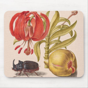 Granatapfelblüte, Frucht und Nashornkäfer Mousepad