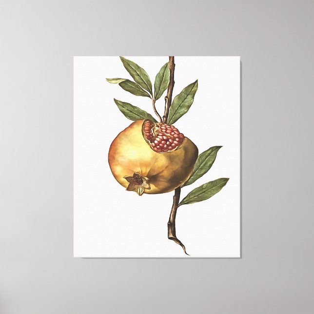 Granatapfelfrüchte und -saaten im Mittelmeer Leinwanddruck (Vorderseite)