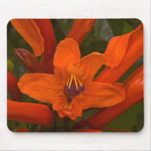 Granatblüter Mousepad