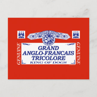 Grand Anglo-Francais Tricolore Postkarte