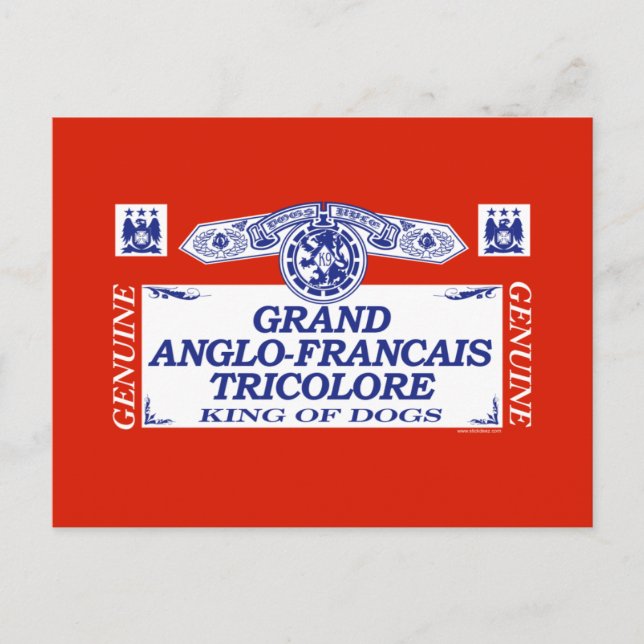 Grand Anglo-Francais Tricolore Postkarte (Vorderseite)