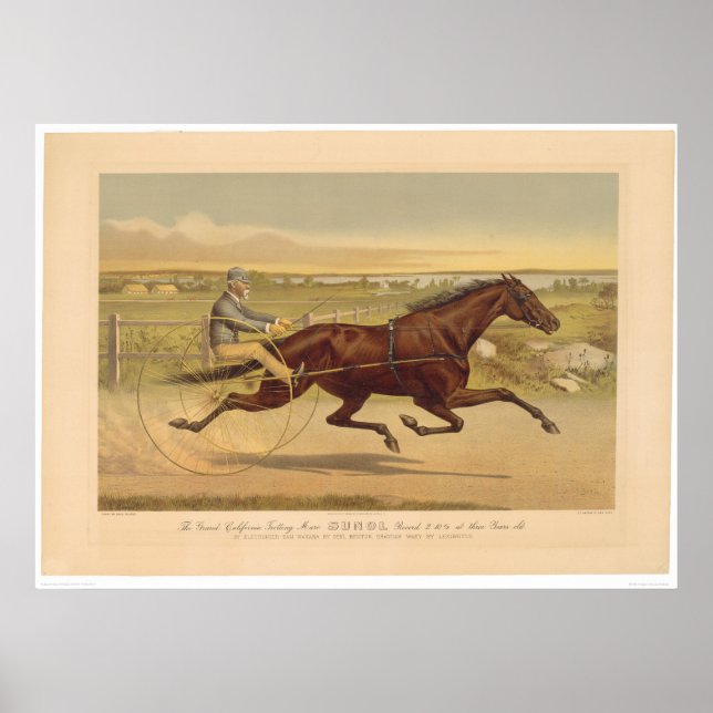 Grand California Trotting Mare Sunol (0652A) Poster (Vorne)