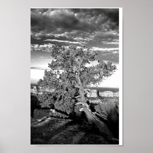 Grand Canyon 03 Poster (Vorne)