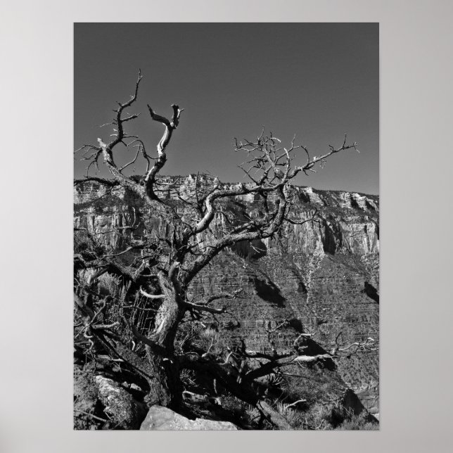 Grand Canyon #1 Poster (Vorne)