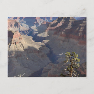 Grand Canyon (5) Postkarte