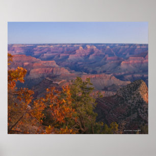 Grand Canyon am Sonnenaufgang Poster