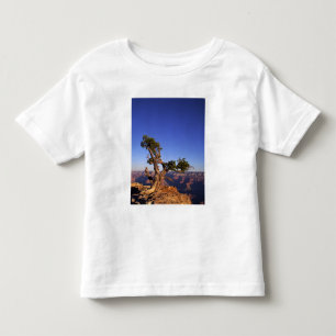 Grand Canyon, Arizona, USA Kleinkind T-shirt