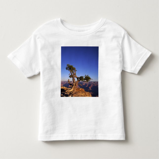 Grand Canyon, Arizona, USA Kleinkind T-shirt (Vorderseite)