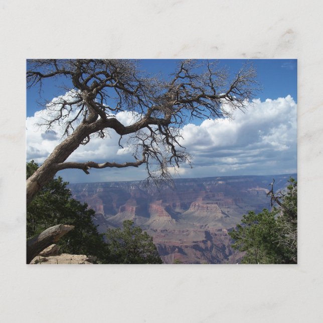 Grand Canyon Die gemalte Wüste Arizona PostCard Postkarte (Vorderseite)