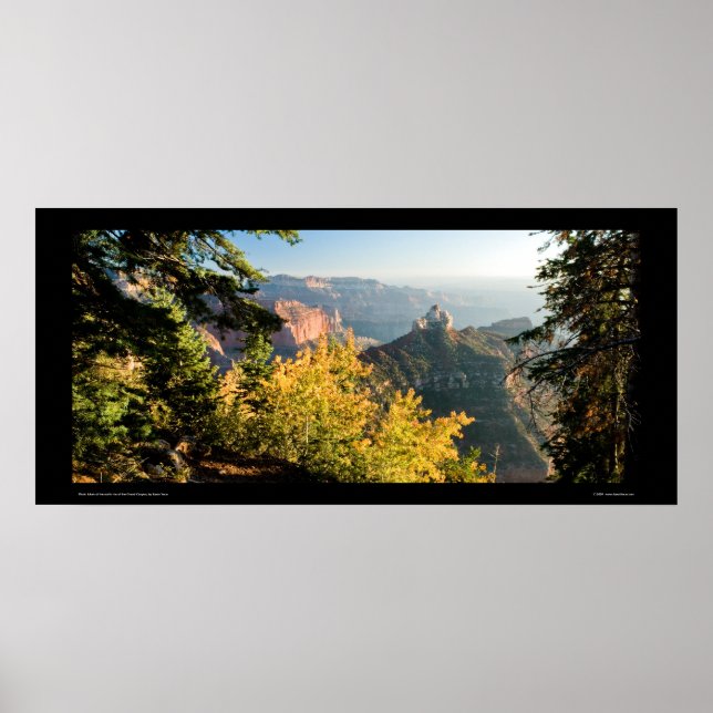 Grand Canyon mit goldener Birke Poster (Vorne)