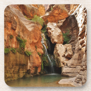 Grand Canyon National Park, Arizona Getränkeuntersetzer