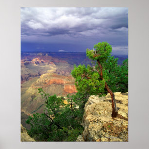 Grand Canyon National Park, Arizona, Vereinigte St Poster
