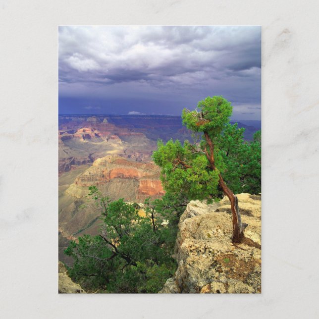 Grand Canyon National Park, Arizona, Vereinigte St Postkarte (Vorderseite)