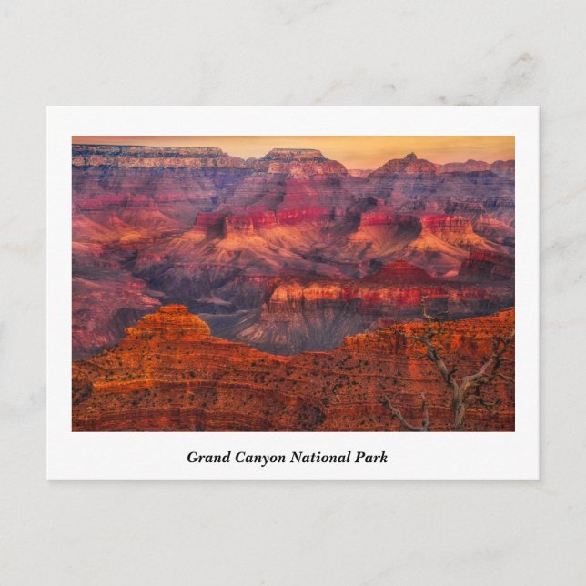 Grand Canyon Nationalpark Postcard Postkarte (Vorderseite)