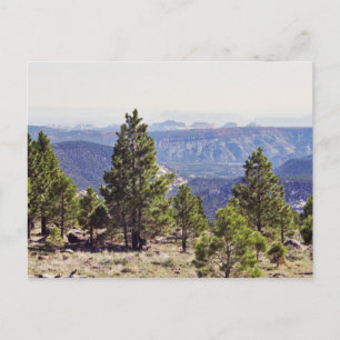 Grand Canyon North Ridge Post Card Postkarte