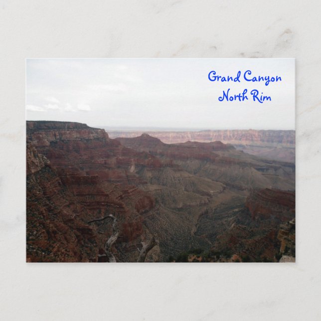 Grand Canyon North Rim Postcard Postkarte (Vorderseite)