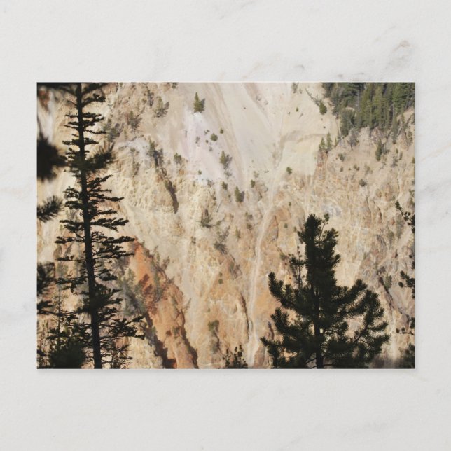Grand Canyon of Yellowstone Postkarte (Vorderseite)