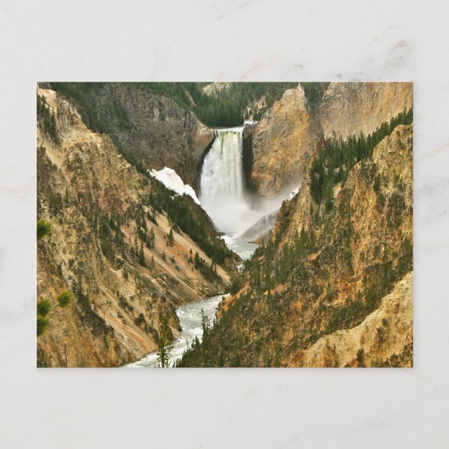 Grand Canyon of Yellowstone Postkarte (Vorderseite)