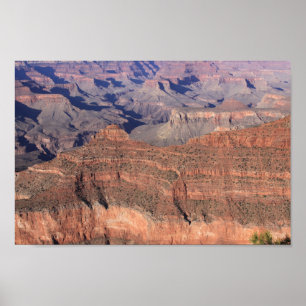 Grand Canyon Poster