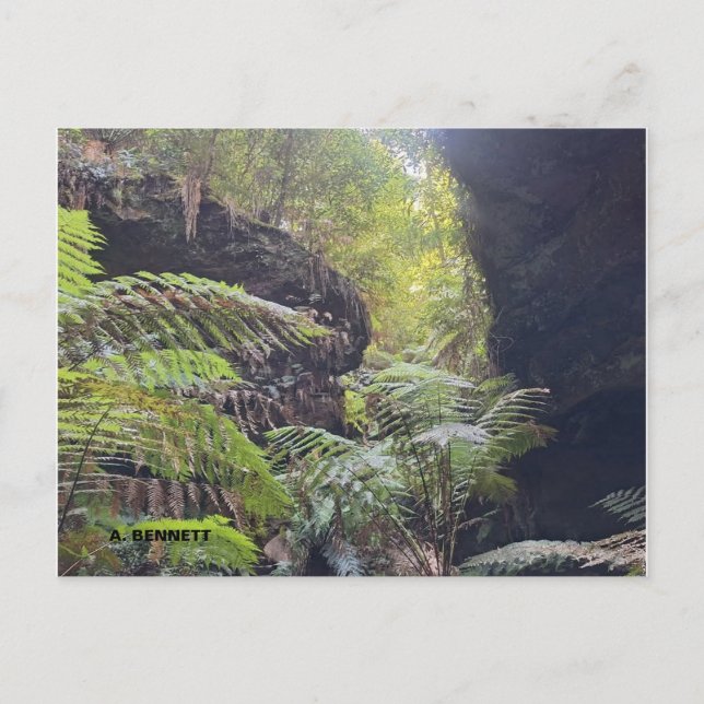 Grand Canyon Postkarte (Vorderseite)