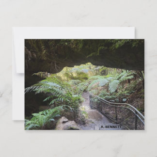 Grand Canyon Postkarte