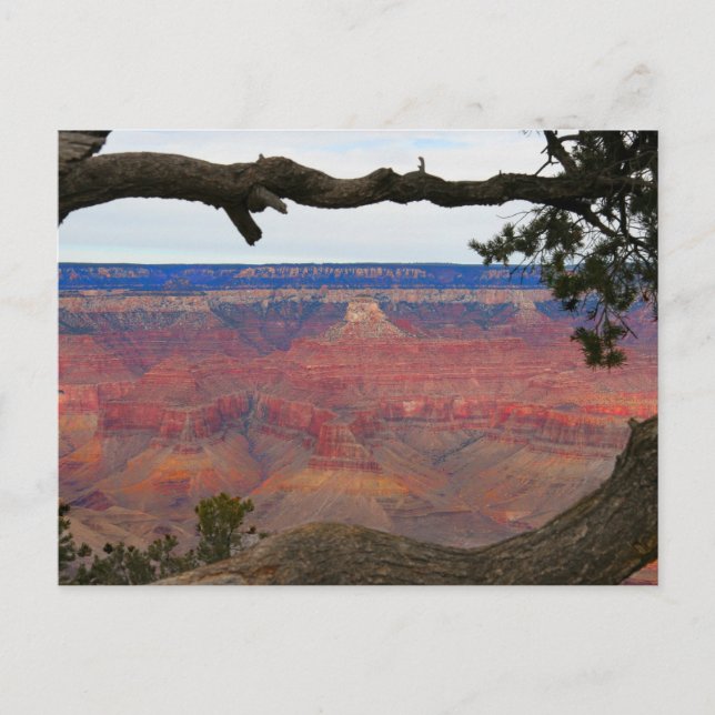 Grand Canyon Postkarte (Vorderseite)