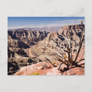 Grand Canyon Postkarte