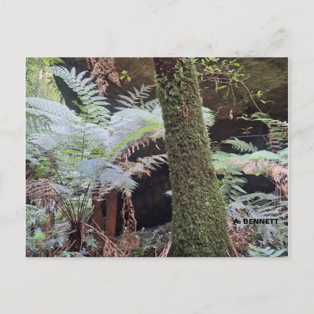 Grand Canyon Postkarte (Vorderseite)