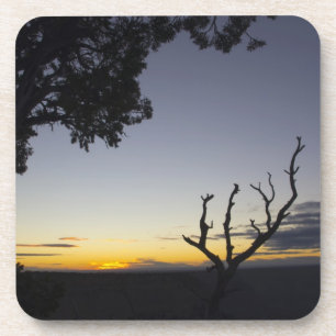 Grand Canyon Sunset Cork Getränkeuntersetzer