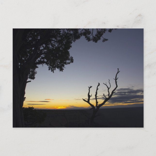 Grand Canyon Sunset Postcard 3 Postkarte (Vorderseite)