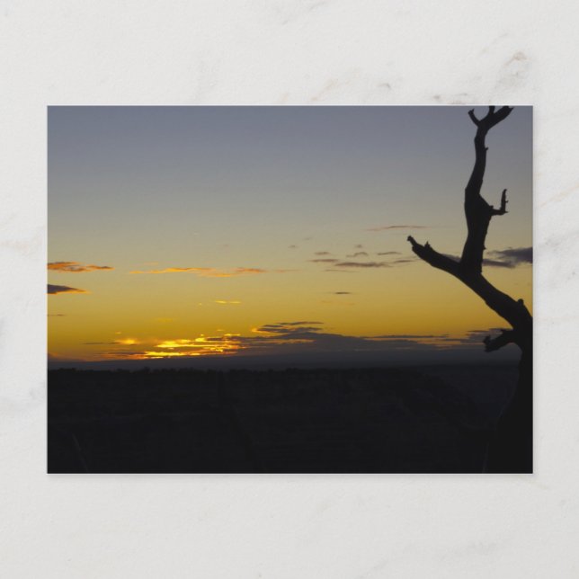 Grand Canyon Sunset Postcard Postkarte (Vorderseite)