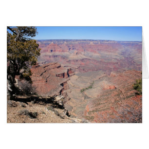 Grand Canyon Views