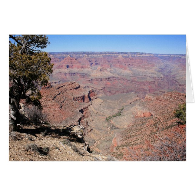 Grand Canyon Views (Vorderseite (Horizontal))