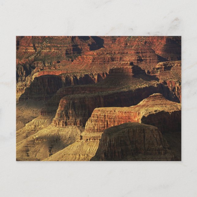 Grand Canyon vom südlichen Rand bei Sonnenuntergan Postkarte (Vorderseite)