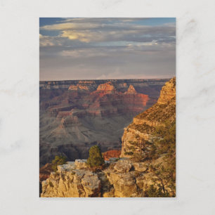 Grand Canyon von der Südumrandung bei Sonnenunterg Postkarte
