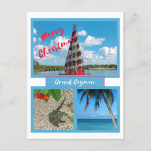 Grand Cayman Christmas Feiertagspostkarte