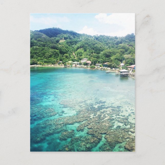 Grand Cayman Coral Reef Postkarte (Vorderseite)