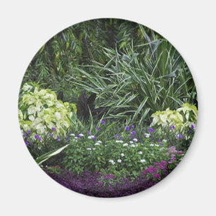 Grand Cayman-Inseln Magnet