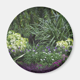 Grand Cayman-Inseln Magnet