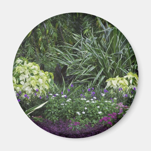 Grand Cayman-Inseln Magnet (Vorne)