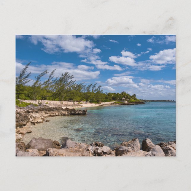 Grand Cayman Island Postkarte (Vorderseite)
